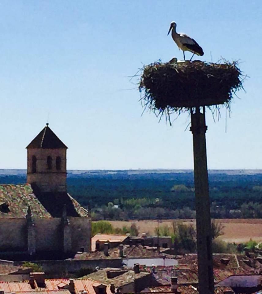 El Rincon Del Alma Mia Villa Simancas Bagian luar foto